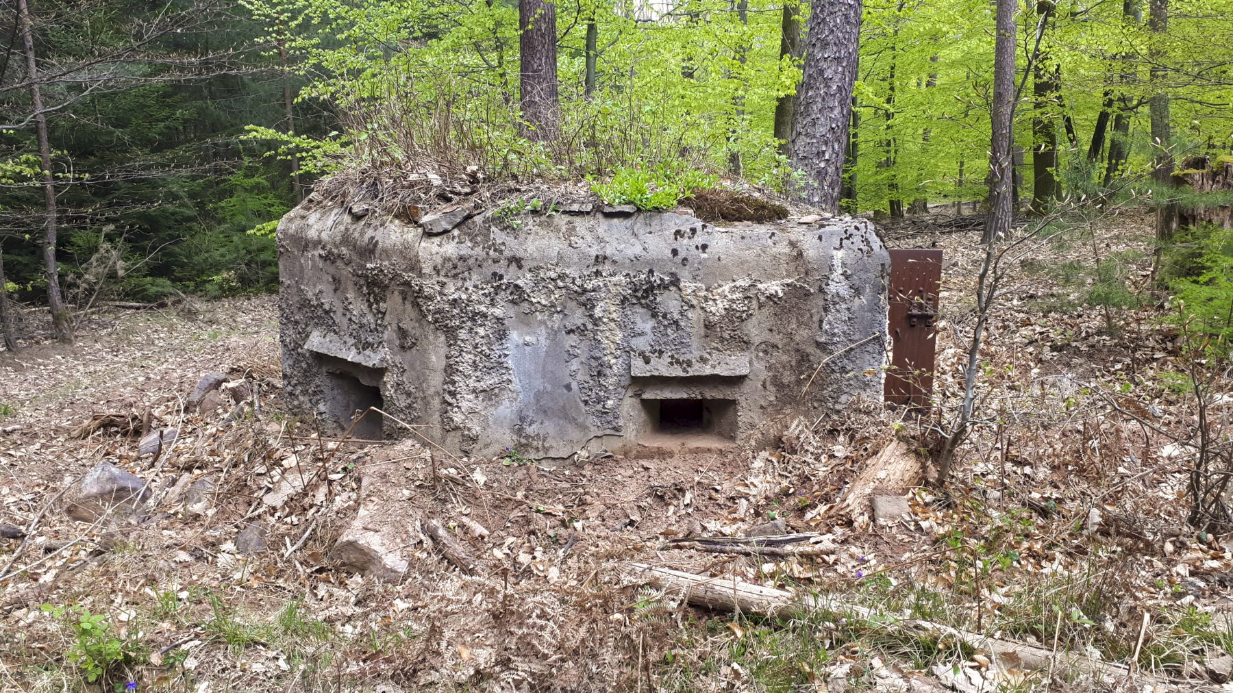 Ligne Maginot - HARDT 2 - (Blockhaus pour arme infanterie) - Vue coté gauche - Gregory Fuchs