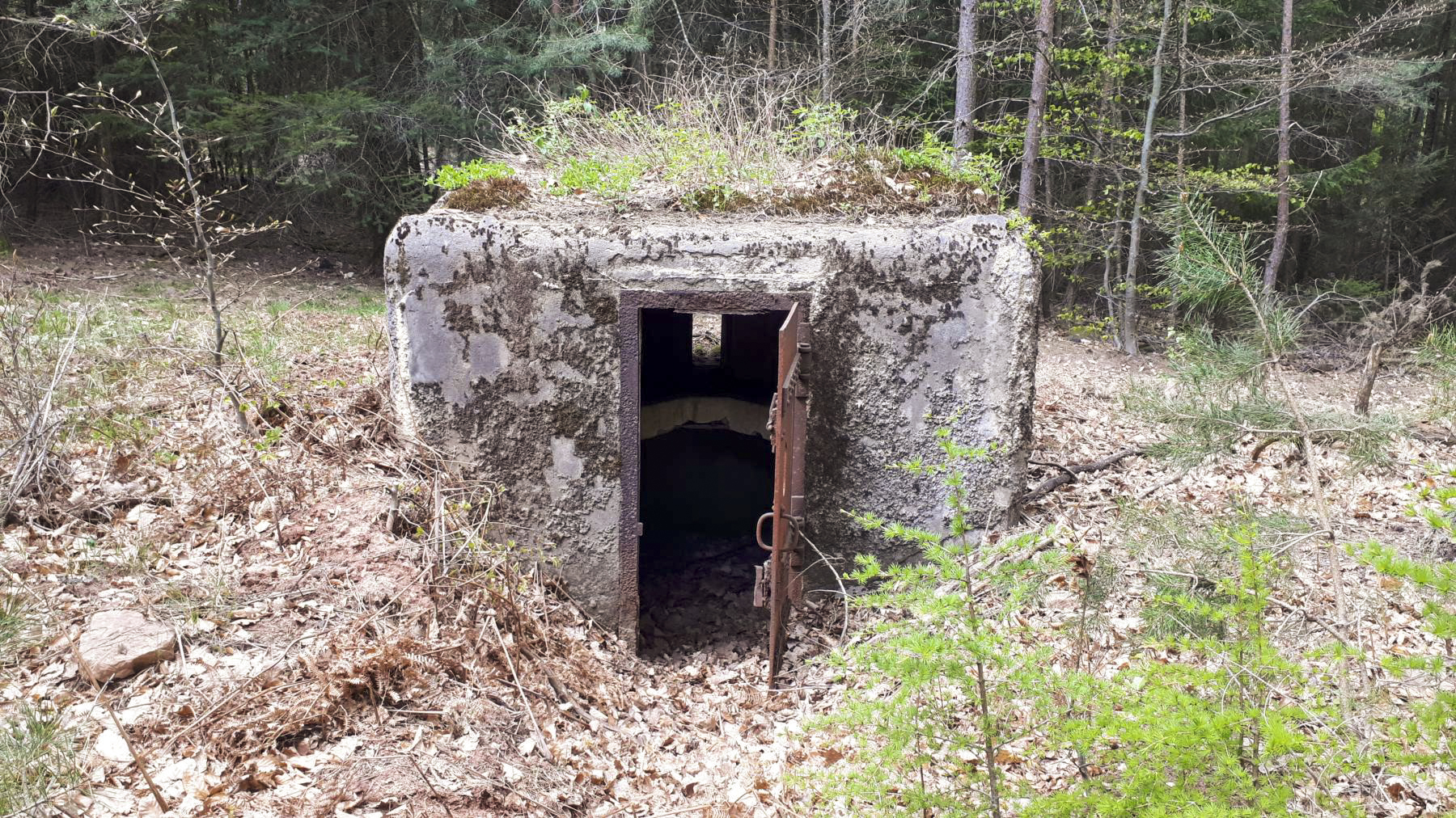 Ligne Maginot - HARDT 2 - (Blockhaus pour arme infanterie) - Entrée - Gregory Fuchs