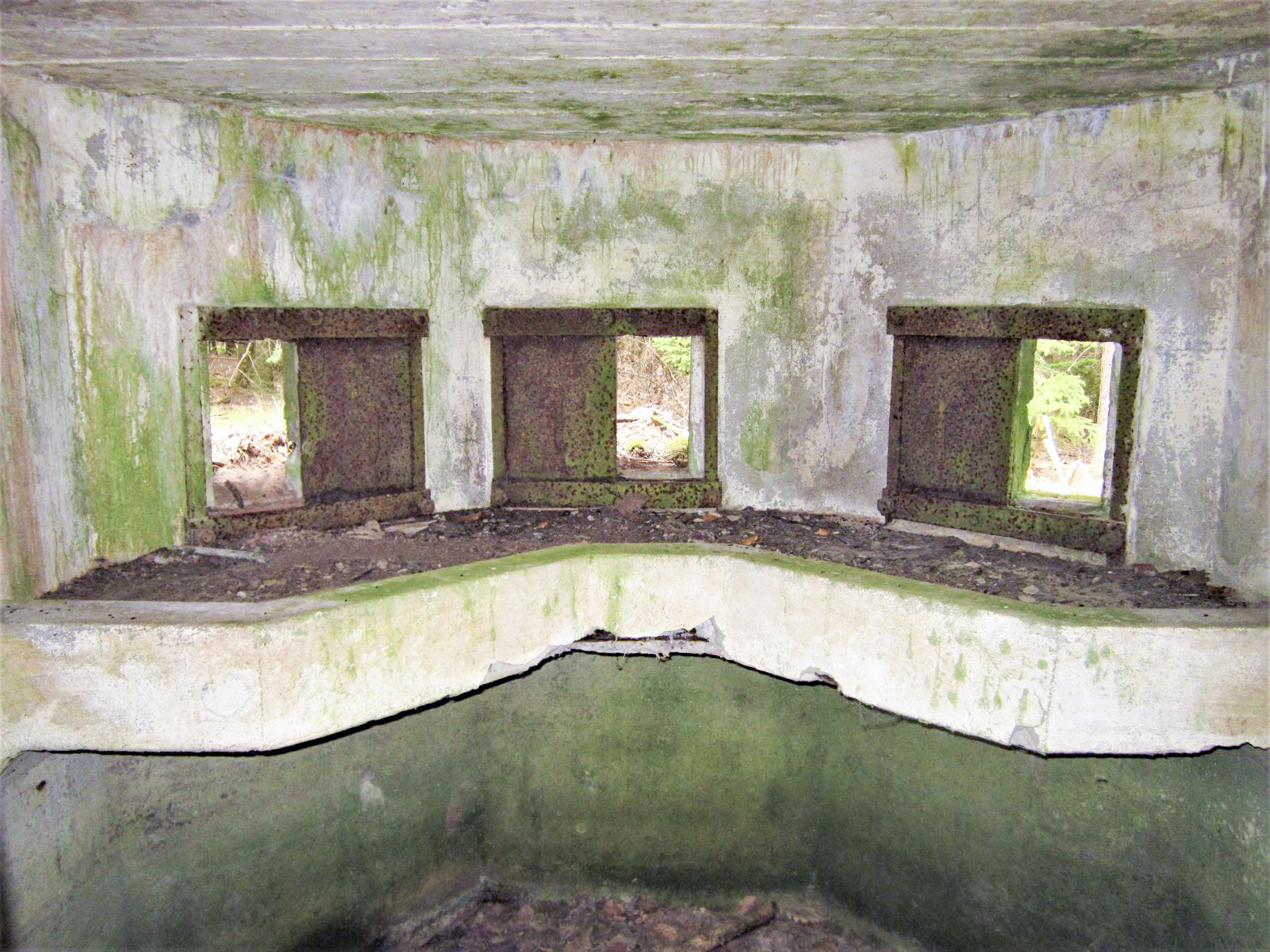 Ligne Maginot - HARDT 2 - (Blockhaus pour arme infanterie) - Les 3 créneaux frontaux avec tablette de tir pour FM - Gregory Fuchs