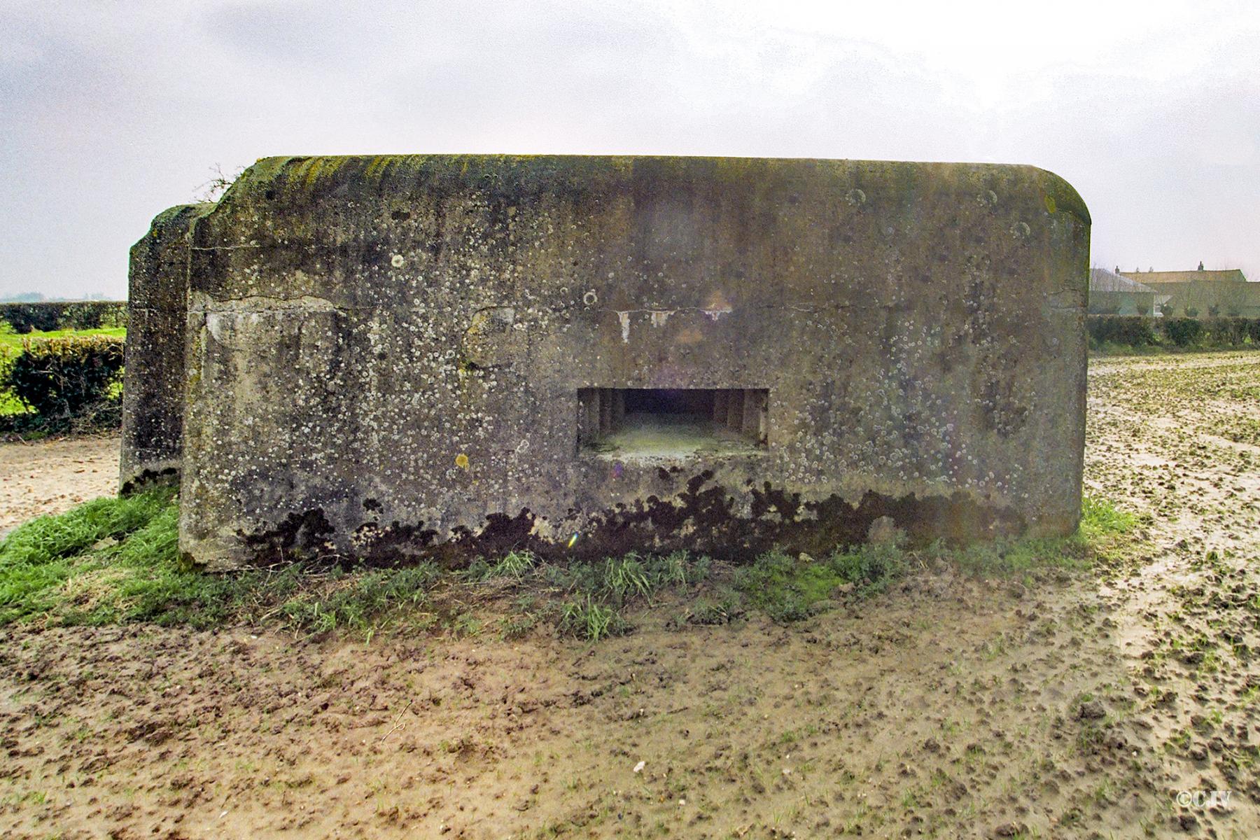 Ligne Maginot - B70 - HAEZEPOEL LINDE (Blockhaus pour arme infanterie) -  - Caspar Vermeulen