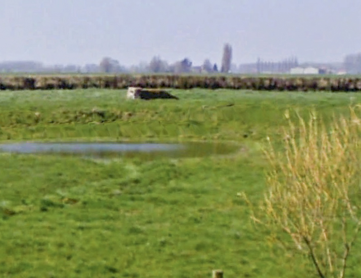 Ligne Maginot - B84 - KRUYSTRAETE (Blockhaus pour arme infanterie) -  - Google StreetView