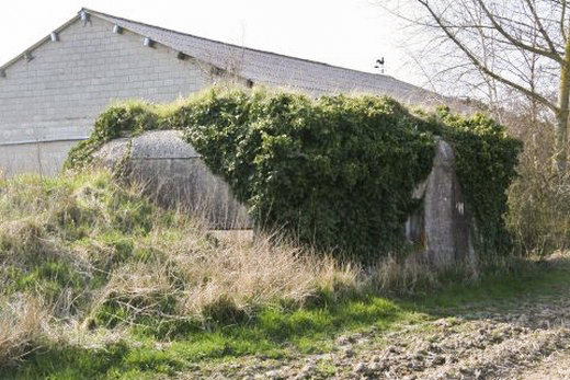 Ligne Maginot - B87 - HARINGHE (Blockhaus pour canon) -  - AALMA - www.lignemaginot.com