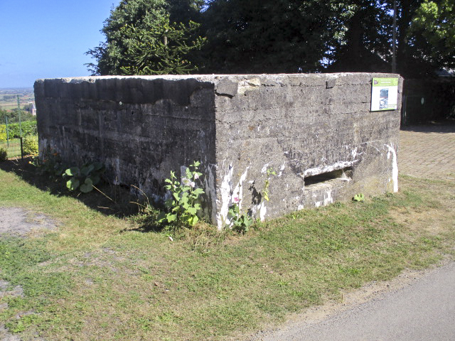 Ligne Maginot - B165 - MONT de BOESCHEPE (Blockhaus pour arme infanterie) -  - Smardz Félix