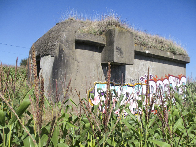 Ligne Maginot - B169 - MONT KOKEREEL - (Blockhaus pour canon) -  - Smardz Félix