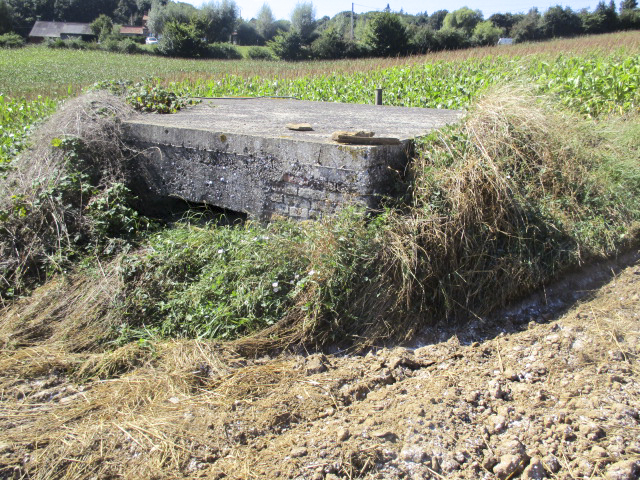 Ligne Maginot - B171 - VLENINKHOF SUD - (Blockhaus pour arme infanterie) -  - Smardz Félix