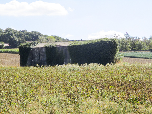 Ligne Maginot - B172 - PURGATOIRE - (Blockhaus pour canon) -  - Smardz Félix