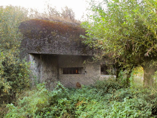 Ligne Maginot - B219 - LES COURTS-PAYEUX - (Blockhaus pour canon) -  - Smardz Félix