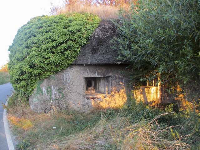 Ligne Maginot - B219 - LES COURTS-PAYEUX - (Blockhaus pour canon) -  - Smardz Félix