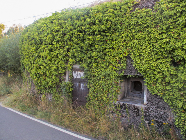 Ligne Maginot - B219 - LES COURTS-PAYEUX - (Blockhaus pour canon) -  - Smardz Félix