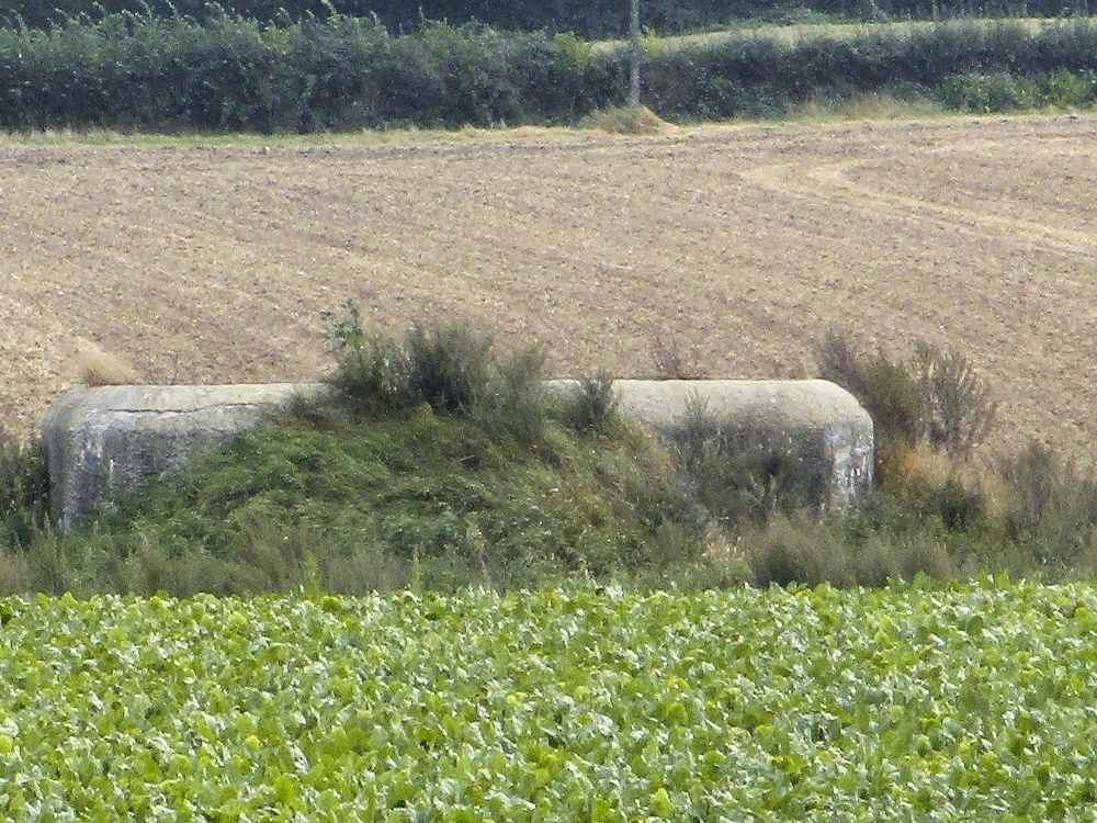 Ligne Maginot - B106 - SAINT ELOI (Blockhaus pour canon) - Vue prise depuis le chemin des Cendres. - Smardz Félix