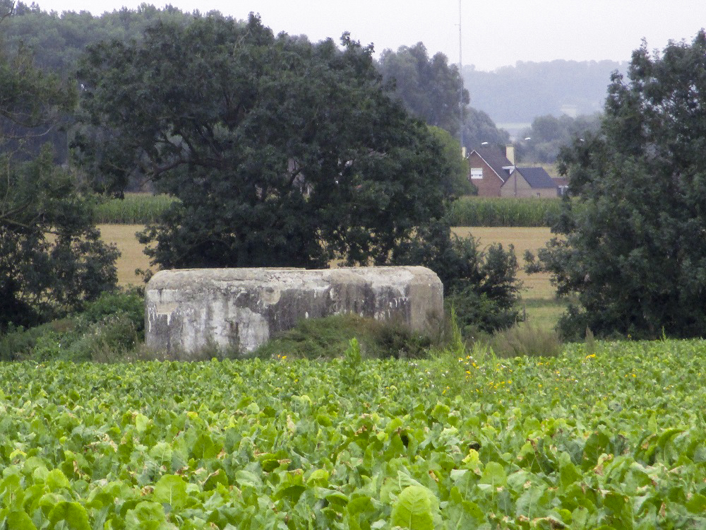 Ligne Maginot - B109 - CONSTANTINE (Blockhaus pour canon) - Vue prise depuis le chemin des Cendres. - Smardz Félix