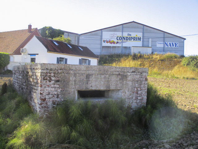 Ligne Maginot - B122 - QUEUE de VACHE (Blockhaus pour arme infanterie) - Vue prise de la D18 - Route de Godewaersvelde. - Smardz Félix