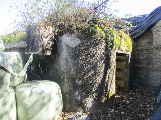 Ligne Maginot - B166 - USINE DE BOESCHEPE - (Blockhaus pour canon) -  - Smardz Félix