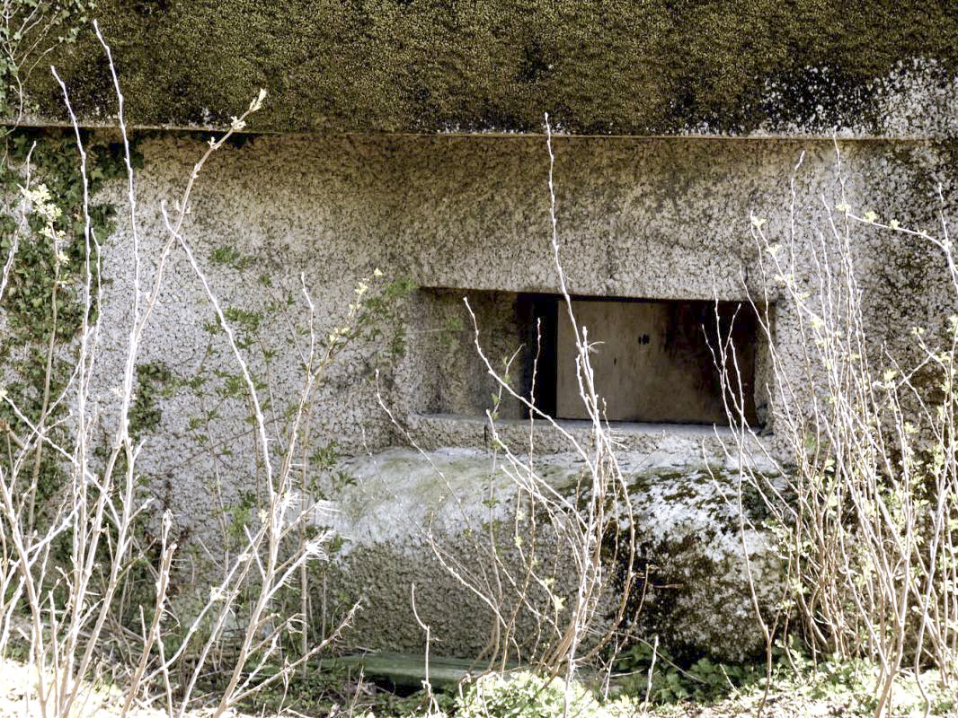 Ligne Maginot - B170 - VLENINKHOF EST - (Blockhaus pour canon) -  - JMBrams