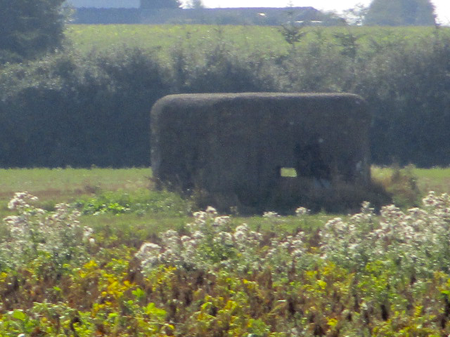 Ligne Maginot - B204 - RAVENSBERG (Blockhaus pour canon) -  - Smardz Félix