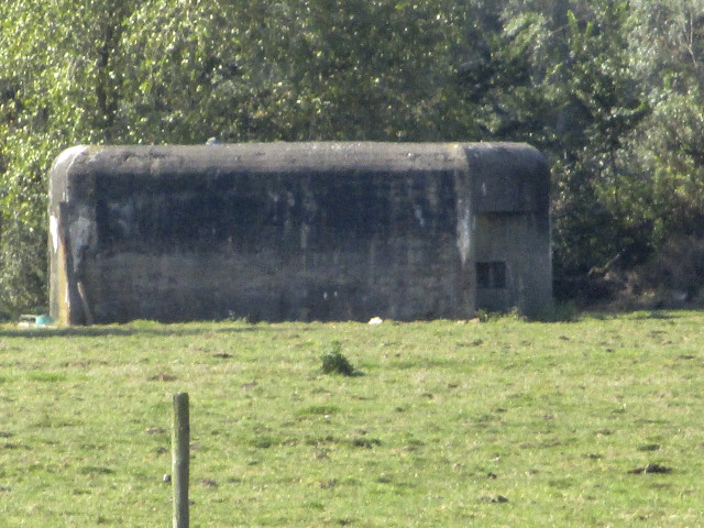 Ligne Maginot - B209 - FORCEVILLE (Blockhaus pour canon) - Visible de la GR 121B. - Smardz Félix