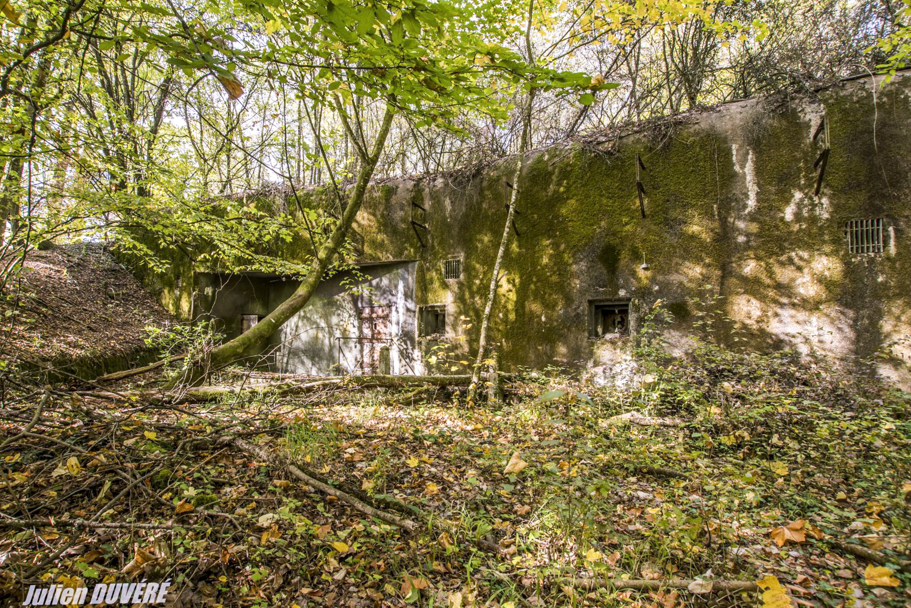 Ligne Maginot - RIPPERT - X13 (QUARTIER KARRE - II/168°RIF) - (Abri) - Façade de l'abri. - Julien DUVÉRÉ