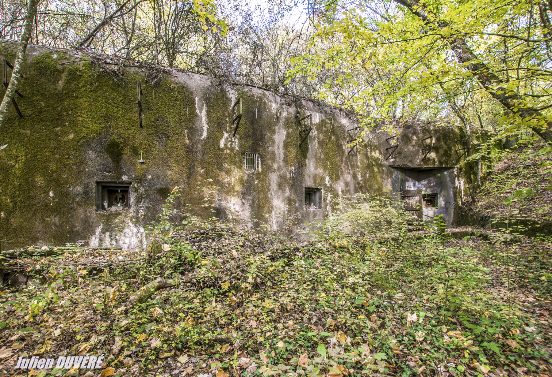 Ligne Maginot - RIPPERT - X13 (QUARTIER KARRE - II/168°RIF) - (Abri) - Façade de l'abri. - Julien DUVÉRÉ