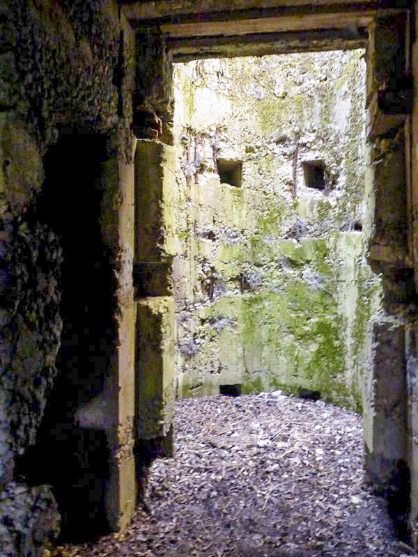 Ligne Maginot - CEZF-A - BALEMBERG - (Casemate d'infanterie - double) -  - JMBrams