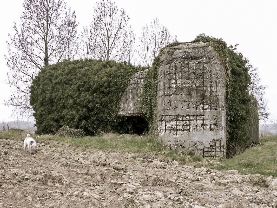 Ligne Maginot - CEZF-E - ZERMEZEELE - (Casemate d'infanterie - double) -  - JMBrams