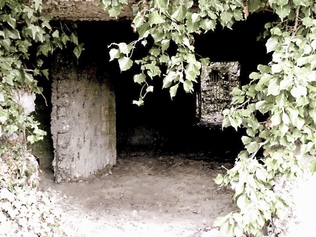 Ligne Maginot - CEZF-E - ZERMEZEELE - (Casemate d'infanterie - double) -  - JMBrams