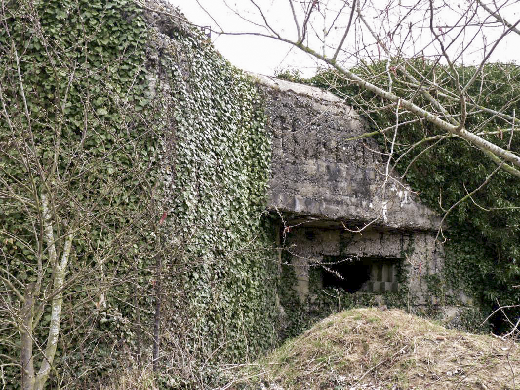 Ligne Maginot - CEZF-E - ZERMEZEELE - (Casemate d'infanterie - double) -  - JMBrams