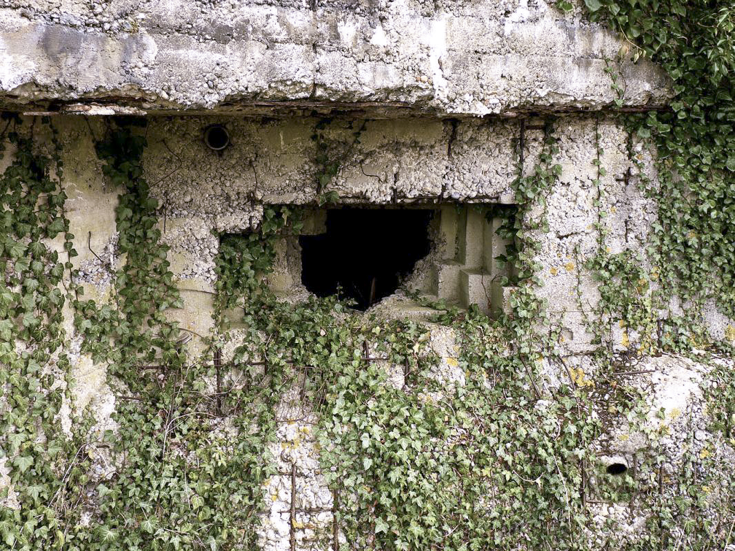 Ligne Maginot - CEZF-E - ZERMEZEELE - (Casemate d'infanterie - double) -  - JMBrams