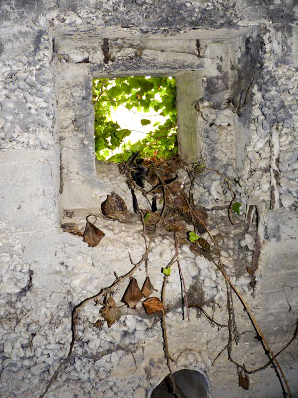 Ligne Maginot - CEZF-E - ZERMEZEELE - (Casemate d'infanterie - double) -  - JMBrams