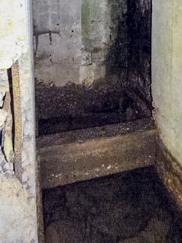 Ligne Maginot - CEZF-H - RYVELD EST - (Casemate d'infanterie - Simple) -  - JMBrams