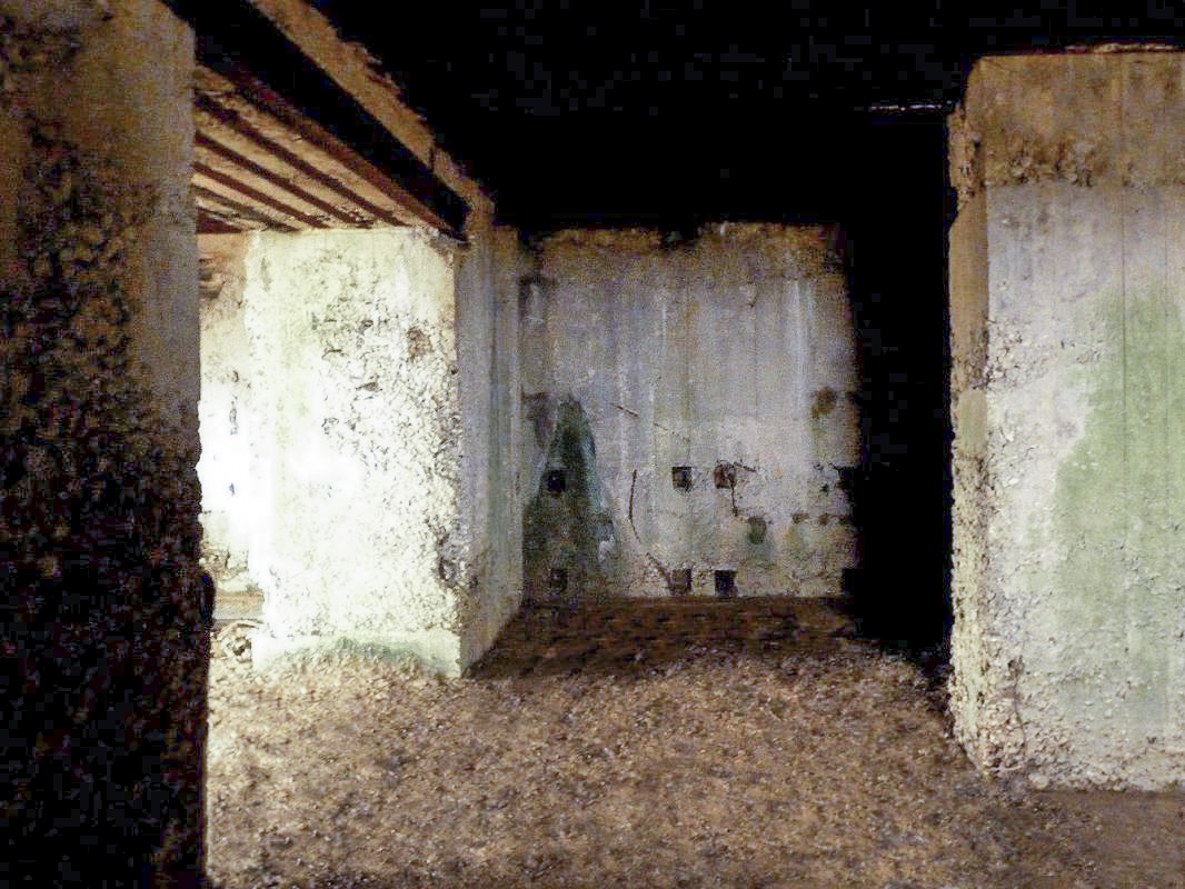 Ligne Maginot - CEZF-H - RYVELD EST - (Casemate d'infanterie - Simple) -  - JMBrams