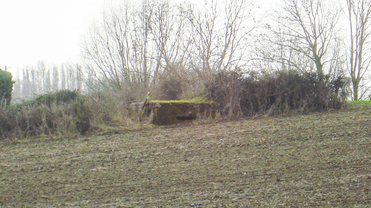 Ligne Maginot - ROUTE DE WATOU - (Blockhaus pour arme infanterie) -  - Inconnu