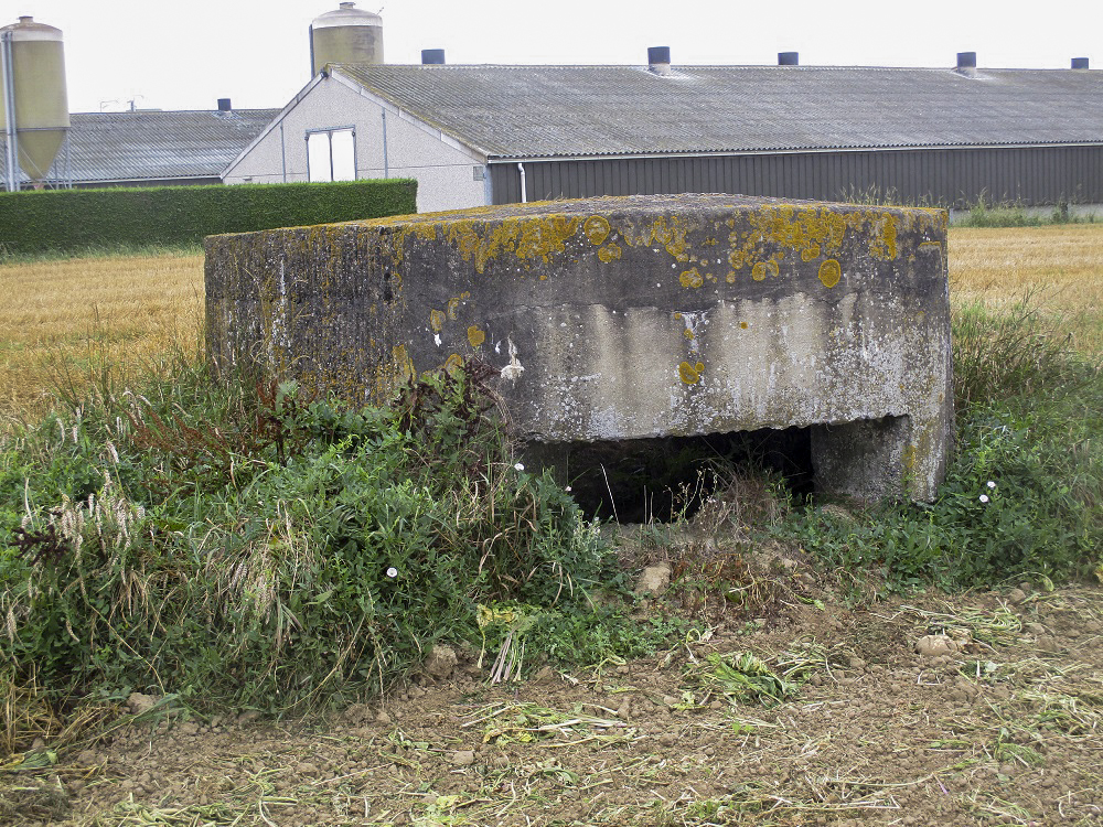Ligne Maginot - WARANDE HOUCK (Blockhaus pour canon) -  - Smardz Félix