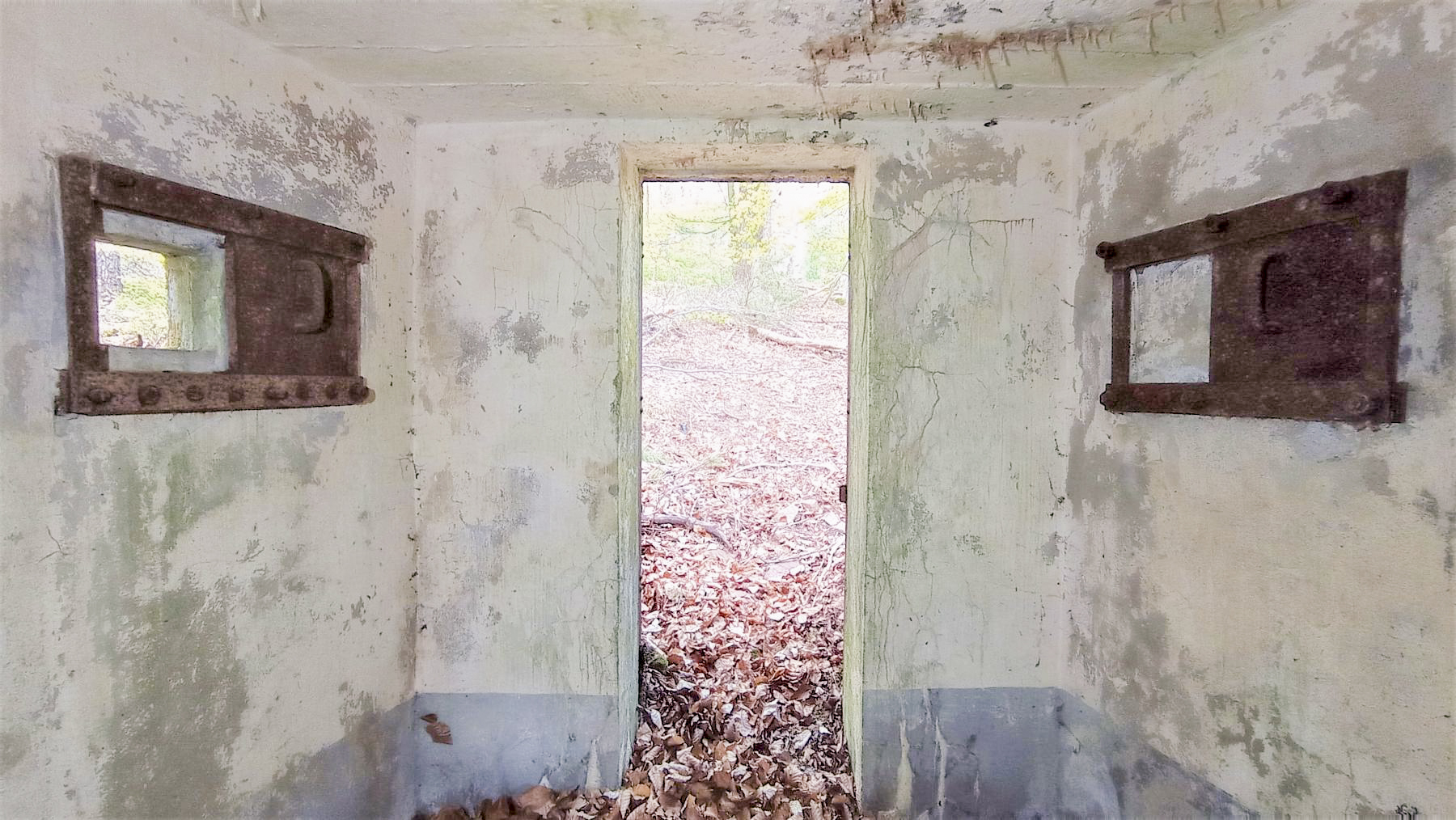 Ligne Maginot - FM41 - GRAND MUEHLBERG 1 - (Blockhaus pour arme infanterie) - L'entrée et les deux créneaux latéraux - Baptiste GAUDIN