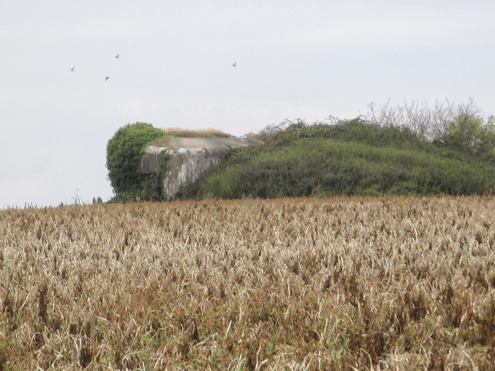 Ligne Maginot - B254 - LES MEURINS - (Blockhaus pour canon) -  - Smardz Félix