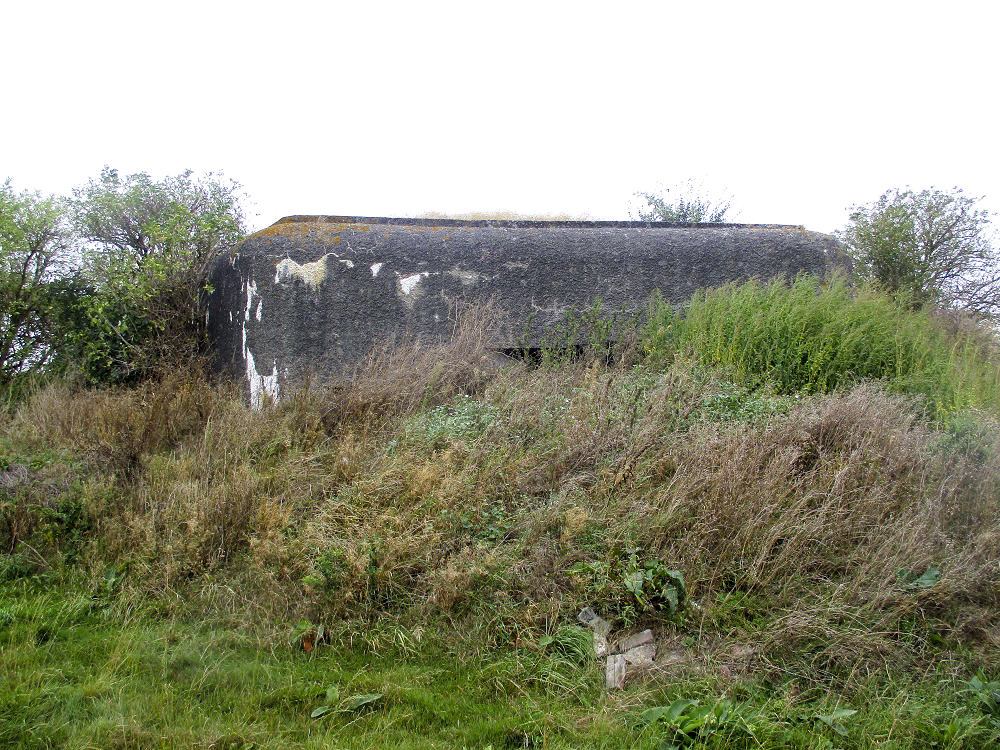 Ligne Maginot - B285 - BEAULIEU SUD - (Blockhaus pour canon) - Etat 2016 - Smardz Félix