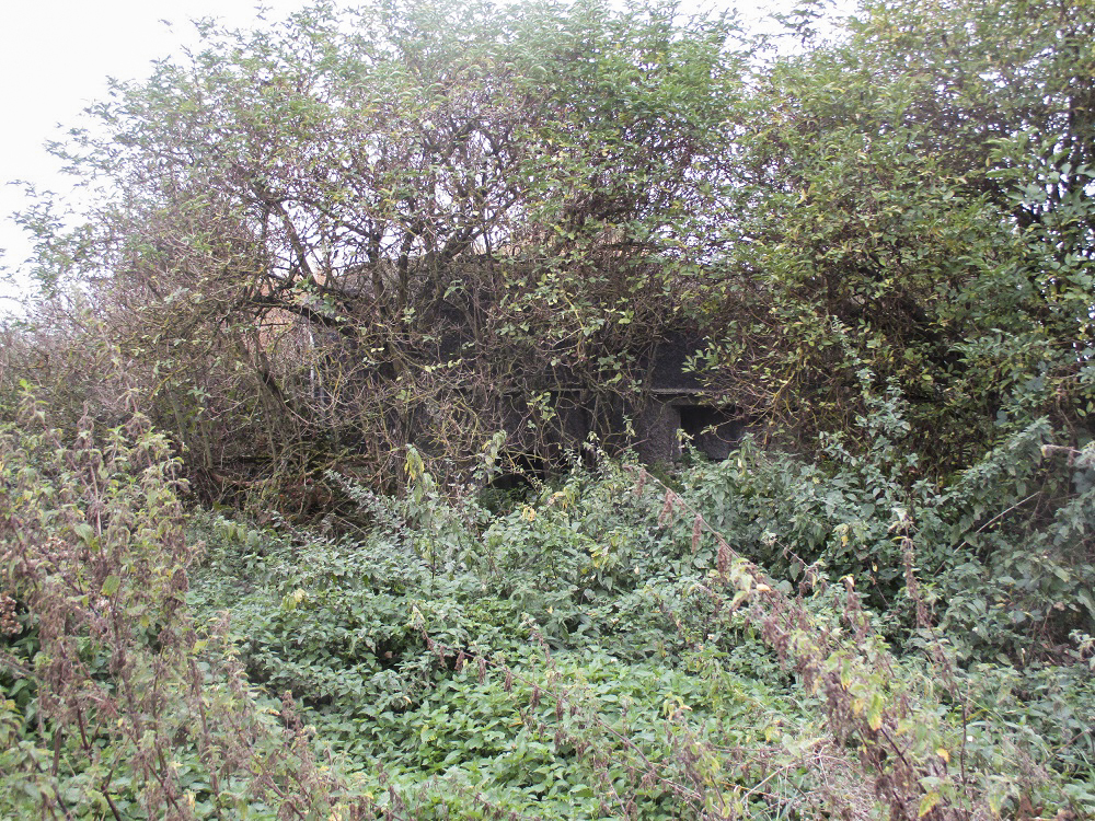 Ligne Maginot - B285 - BEAULIEU SUD - (Blockhaus pour canon) - Etat 2016 - Smardz Félix