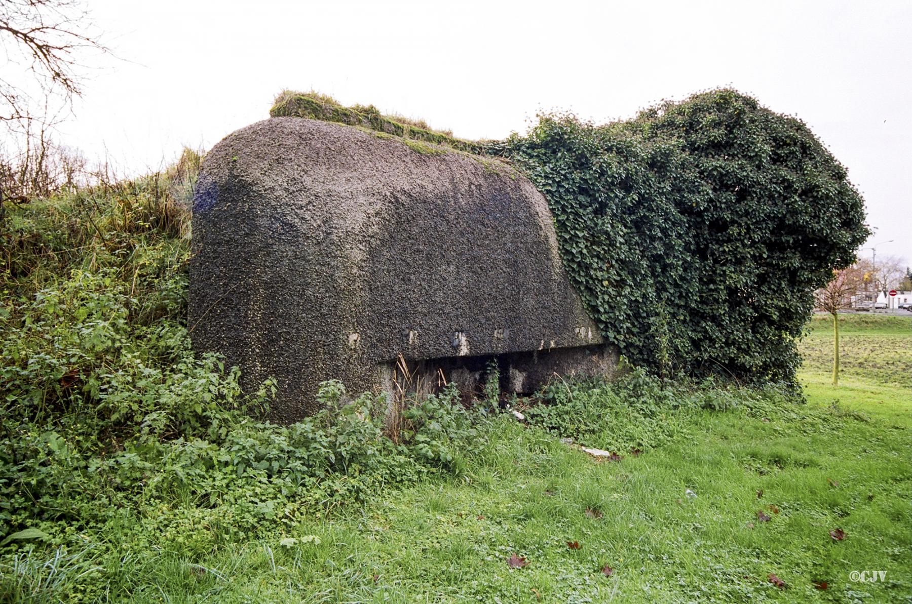 Ligne Maginot - B308 - PONT à TRESSIN NORD - (Blockhaus pour canon) -  - Caspar Vermeulen