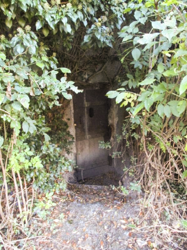 Ligne Maginot - B308 - PONT à TRESSIN NORD - (Blockhaus pour canon) -  - Smardz Félix
