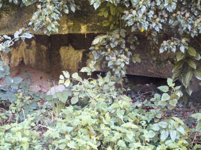 Ligne Maginot - B308 - PONT à TRESSIN NORD - (Blockhaus pour canon) -  - Smardz Félix