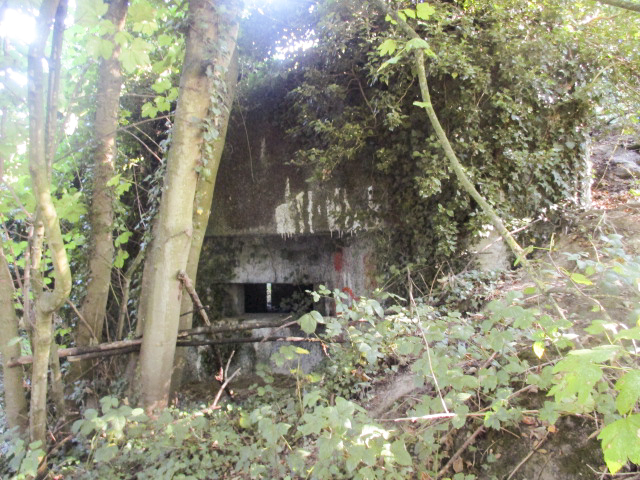 Ligne Maginot - B314 - GRUSON SUD - (Blockhaus pour canon) -  - Smardz Félix