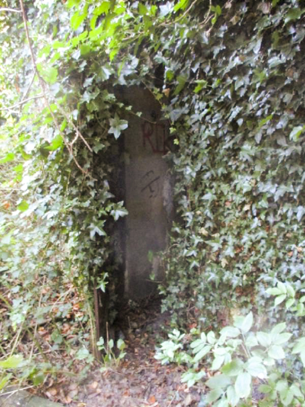 Ligne Maginot - B314 - GRUSON SUD - (Blockhaus pour canon) -  - Smardz Félix