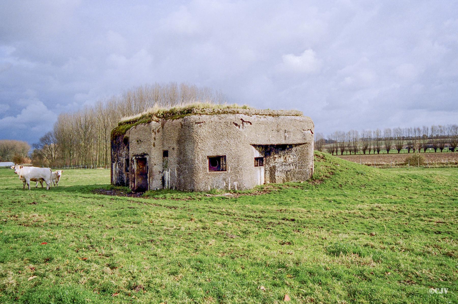 Ligne Maginot - B316 - NOYELLE (Blockhaus pour canon) -  - Caspar Vermeulen