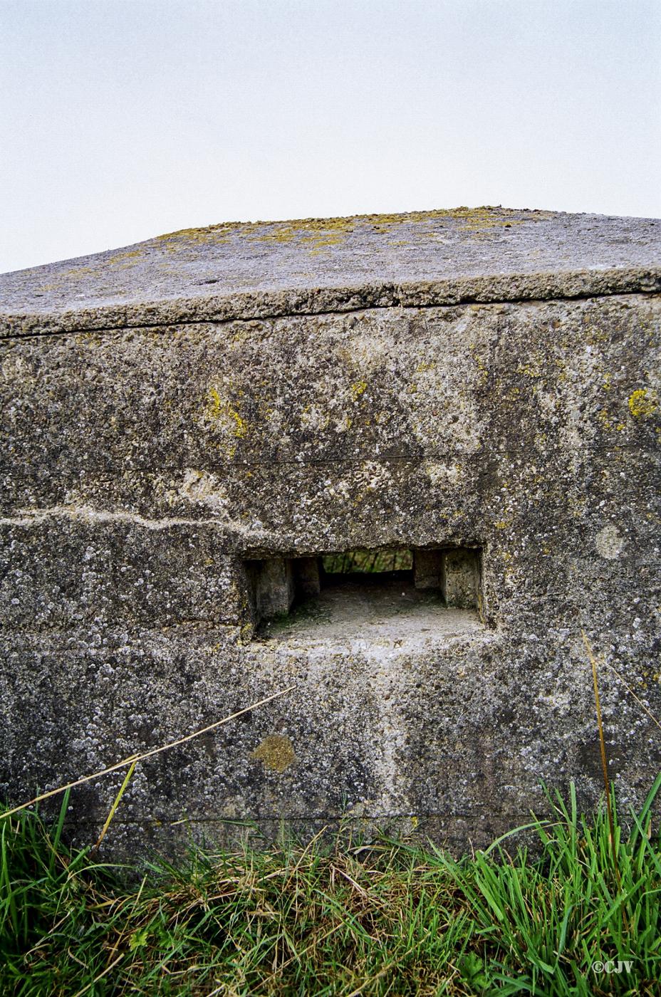 Ligne Maginot - B327 - BOIS du SARTEAU (Blockhaus pour arme infanterie) -  - Lia VERMEULEN