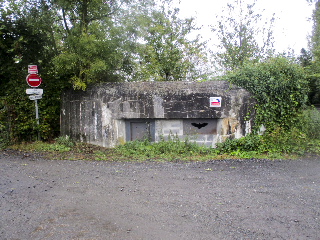 Ligne Maginot - B331 - LES RECREUILS NORD - (Blockhaus pour arme infanterie) -  - Smardz Félix