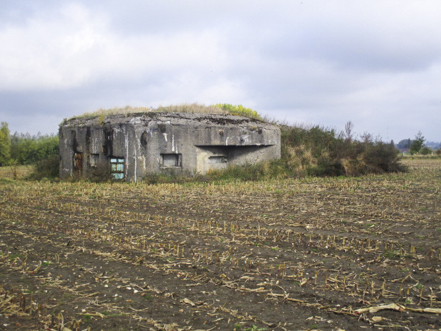 Ligne Maginot - B334 - LA PLAINE NORD - (Blockhaus pour canon) - Blockhaus situé dans son environnement. - Smardz Félix