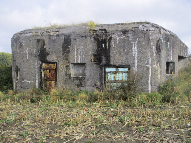 Ligne Maginot - B334 - LA PLAINE NORD - (Blockhaus pour canon) - Les ouvertures sont obstruées. - Smardz Félix