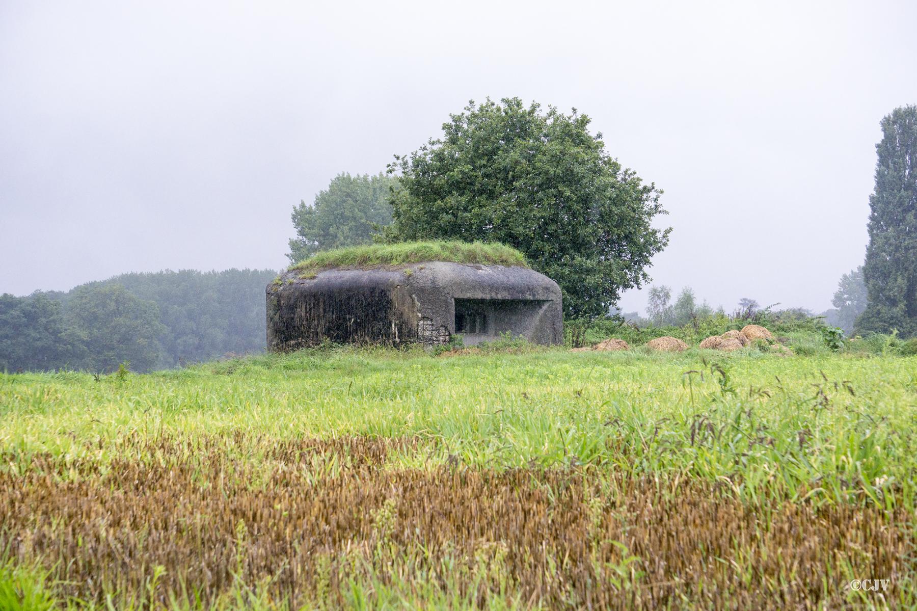 Ligne Maginot - B339 - CENSE DE COBRIEUX - (Blockhaus pour canon) -  - Lia VERMEULEN