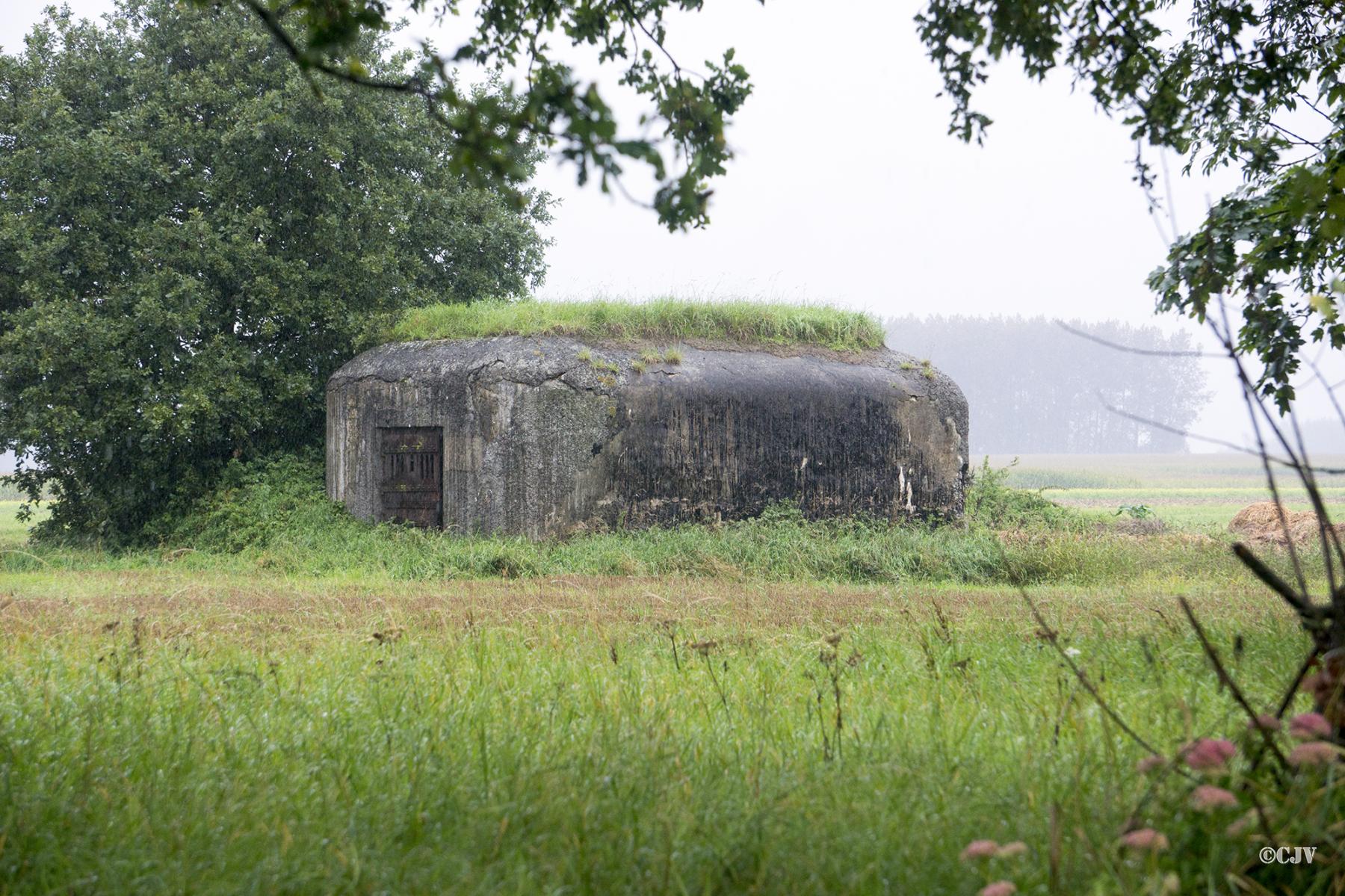 Ligne Maginot - B339 - CENSE DE COBRIEUX - (Blockhaus pour canon) -  - Lia VERMEULEN