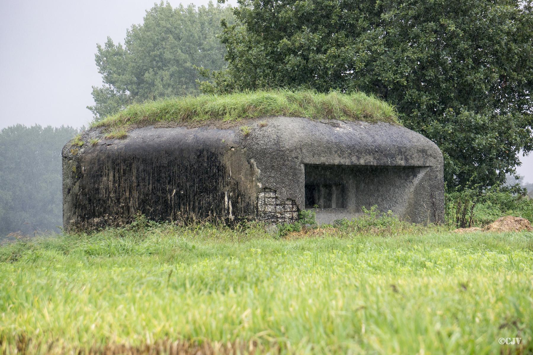 Ligne Maginot - B339 - CENSE DE COBRIEUX - (Blockhaus pour canon) -  - Lia VERMEULEN