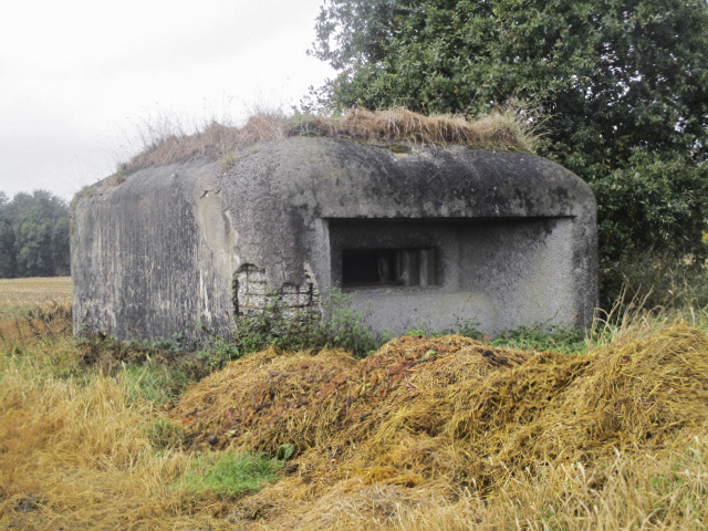 Ligne Maginot - B339 - CENSE DE COBRIEUX - (Blockhaus pour canon) -  - Smardz Félix